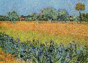 Vincent Van Gogh View of Arles With Iris Sweden oil painting reproduction
